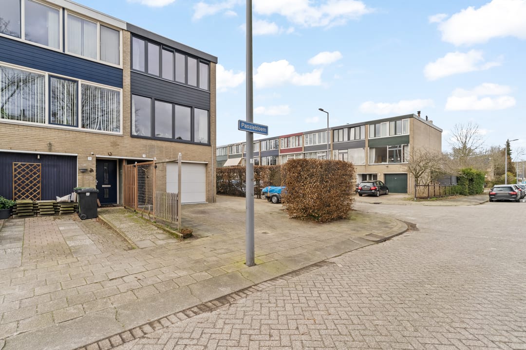 Foto 8 van Passiebloem 9