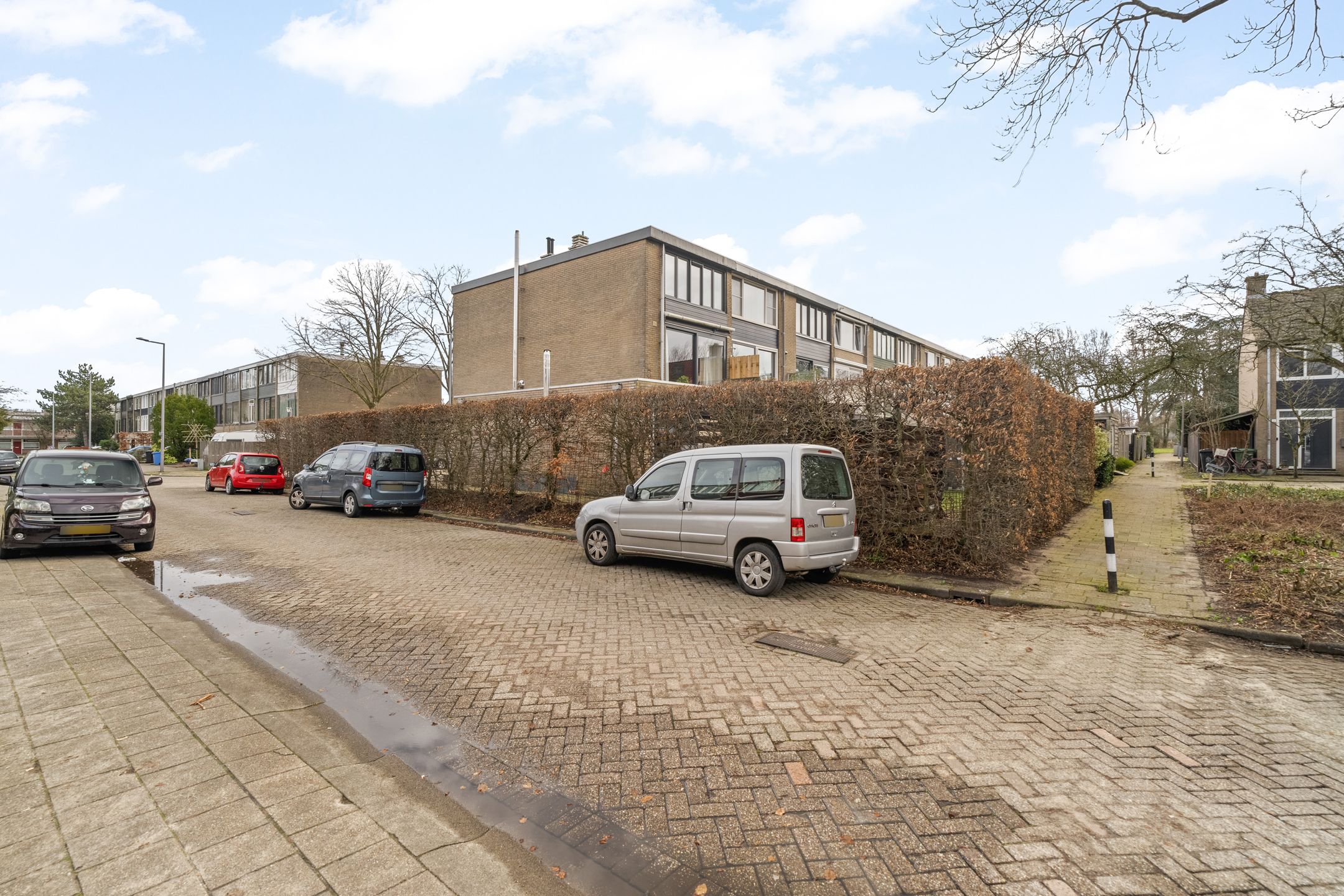 Foto 9 van Passiebloem 9