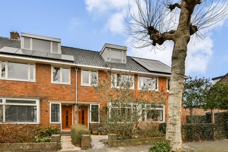 Rietvinkstraat thumbnail