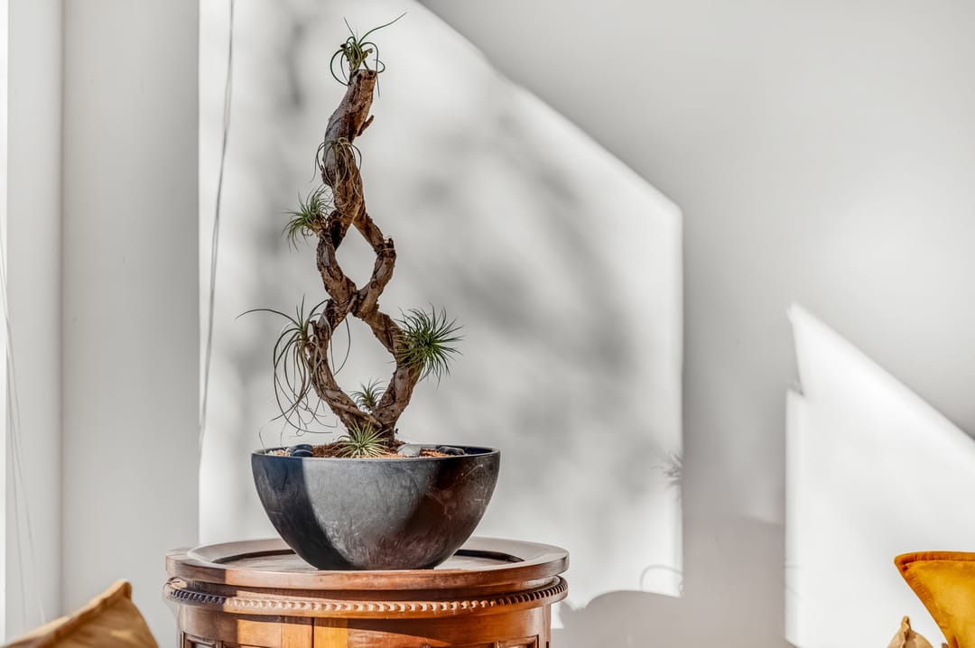 Foto 11 van Binnenhof 4-A