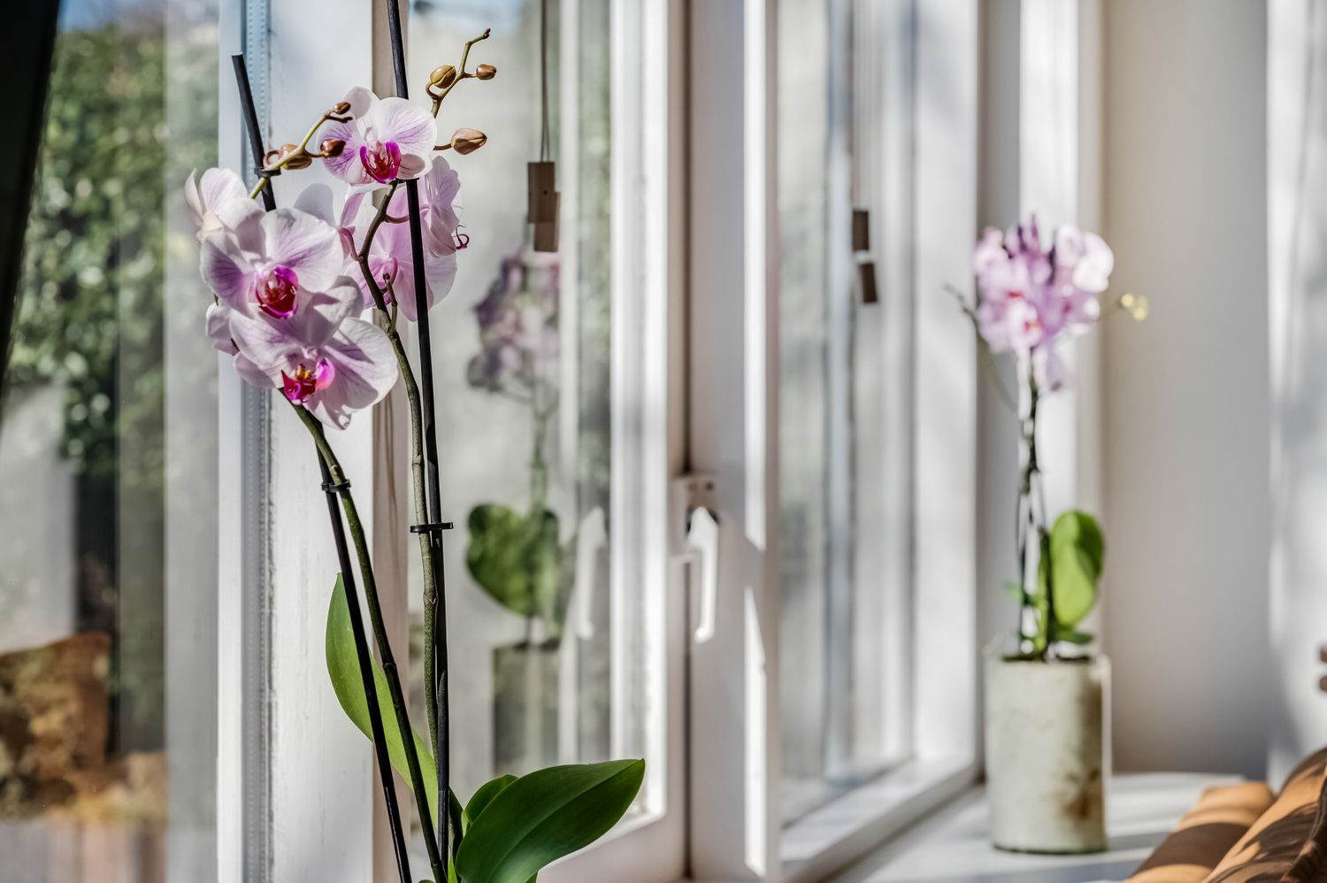 Foto 15 van Binnenhof 4-A