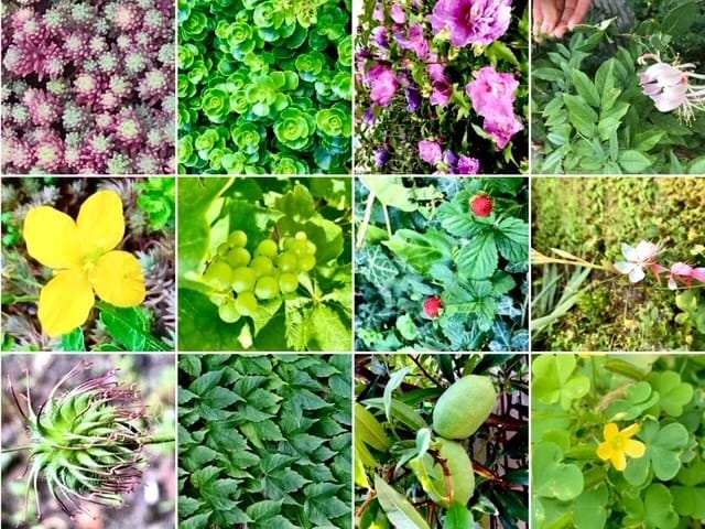 Foto 32 van Prinsenlaan 7