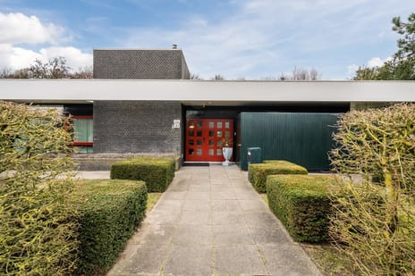 Meeuwenlaan thumbnail