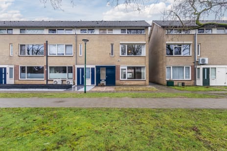 Fazantenveld thumbnail