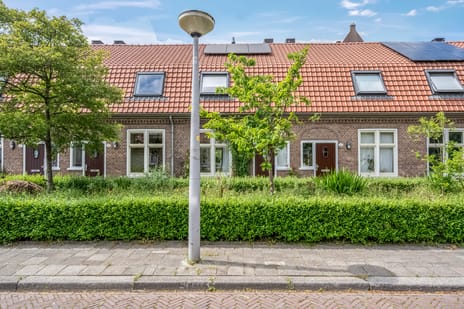 undefined main image