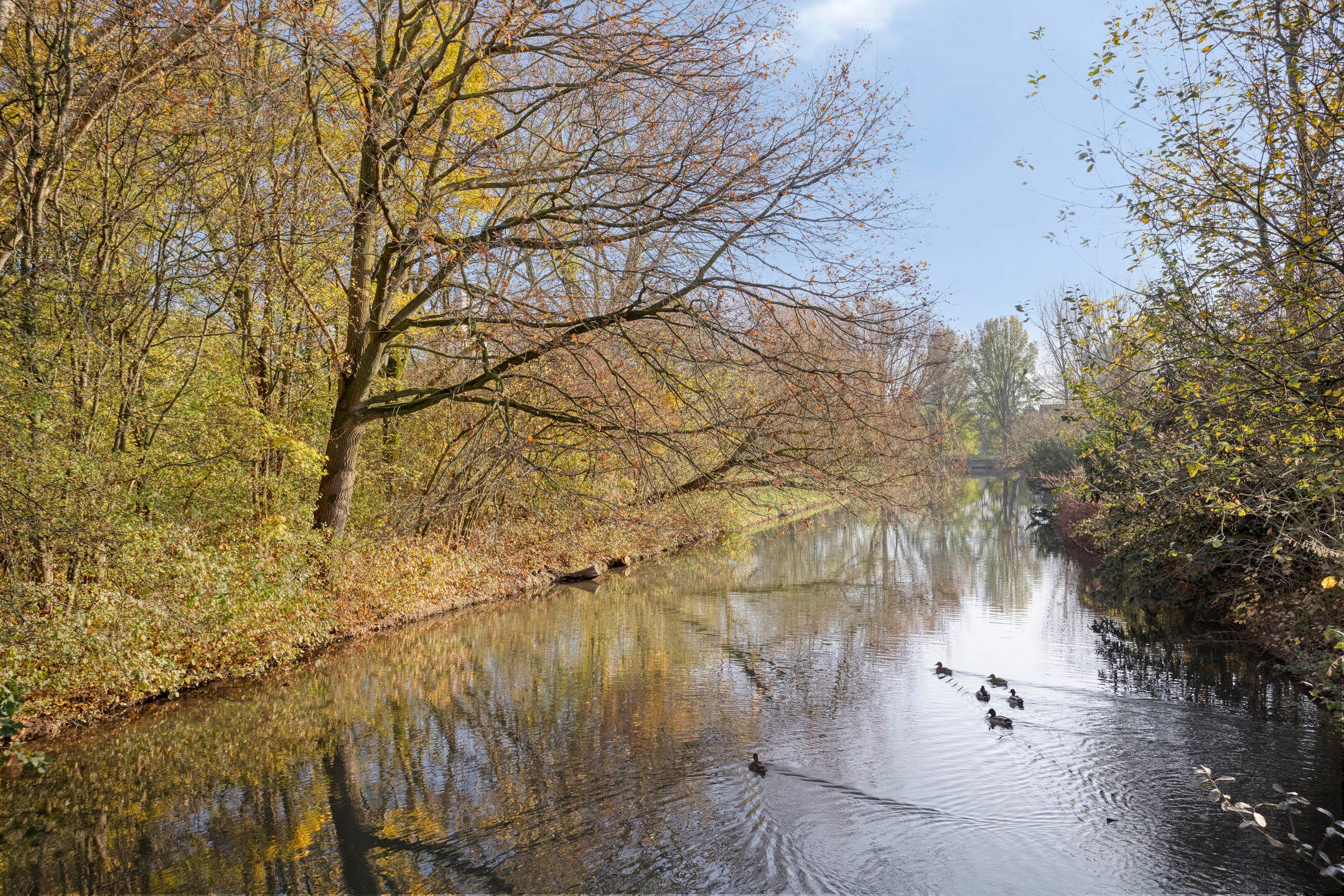 Foto 51 van Zoutelandehof 13