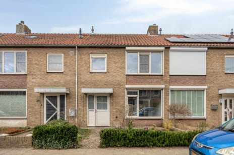 undefined main image