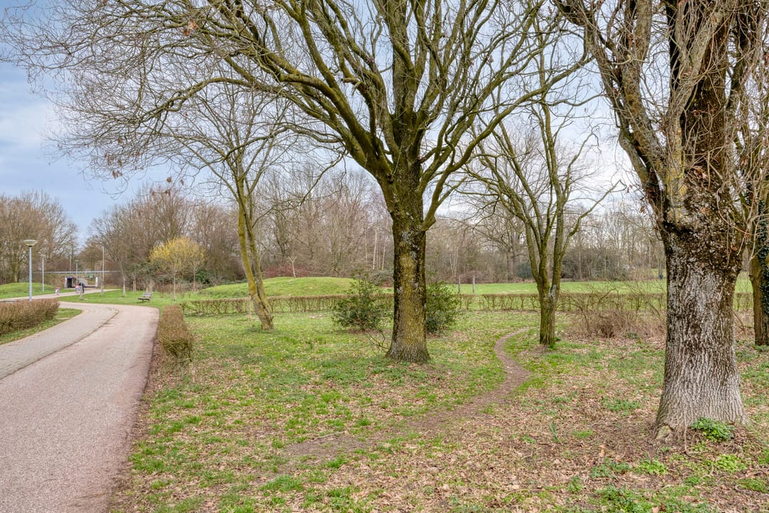 Foto 32 van Flamingostraat 18