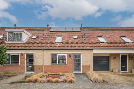 undefined main image