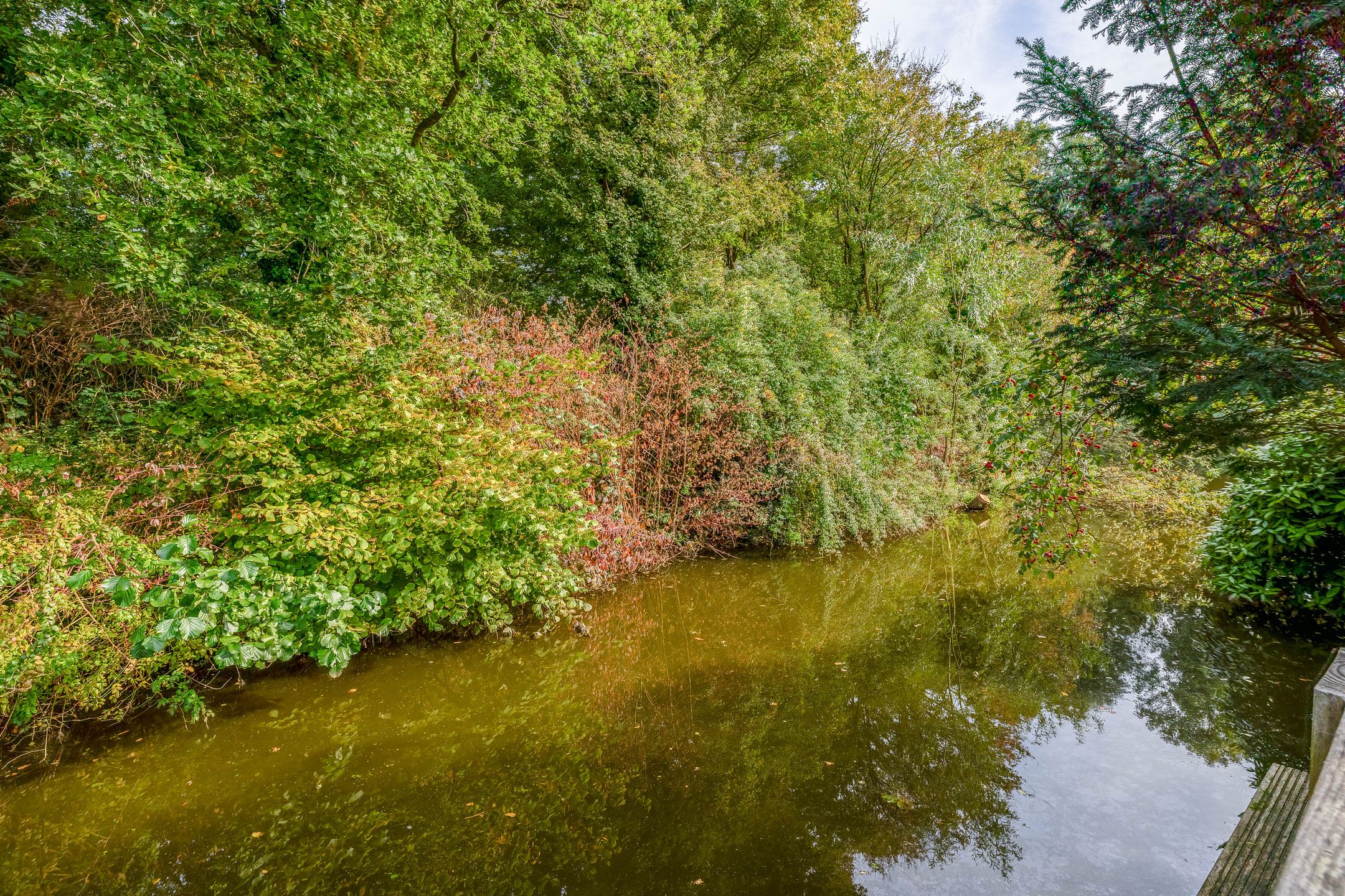 Foto 30 van Roos van Dekama erf 36