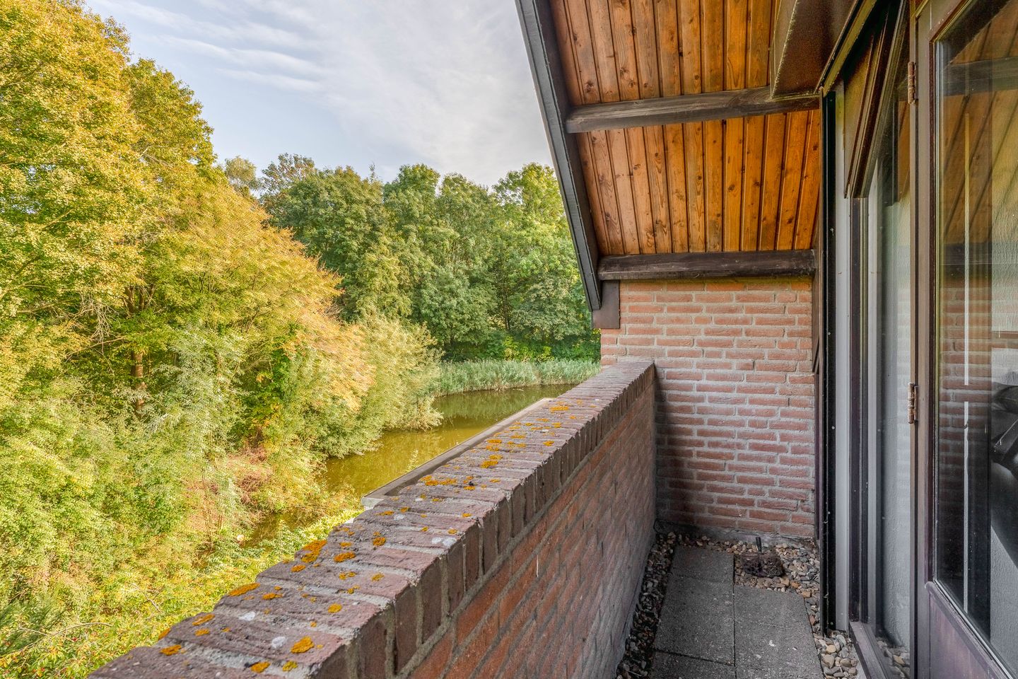 Foto 50 van Roos van Dekama erf 36