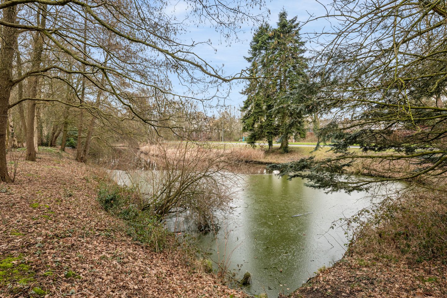 Photo 35 of Boermarke 12