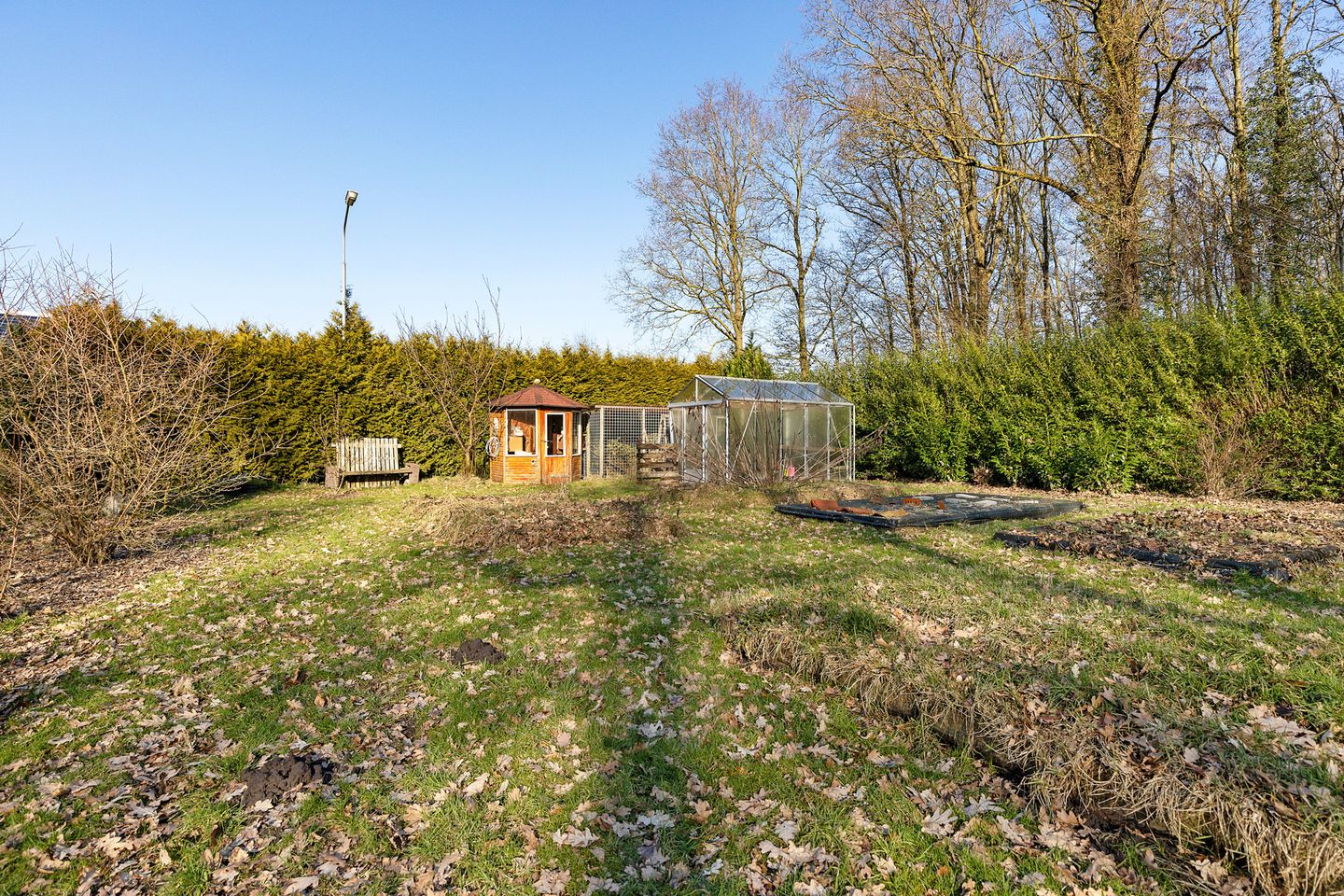 Photo 35 of Grachtlaan 22