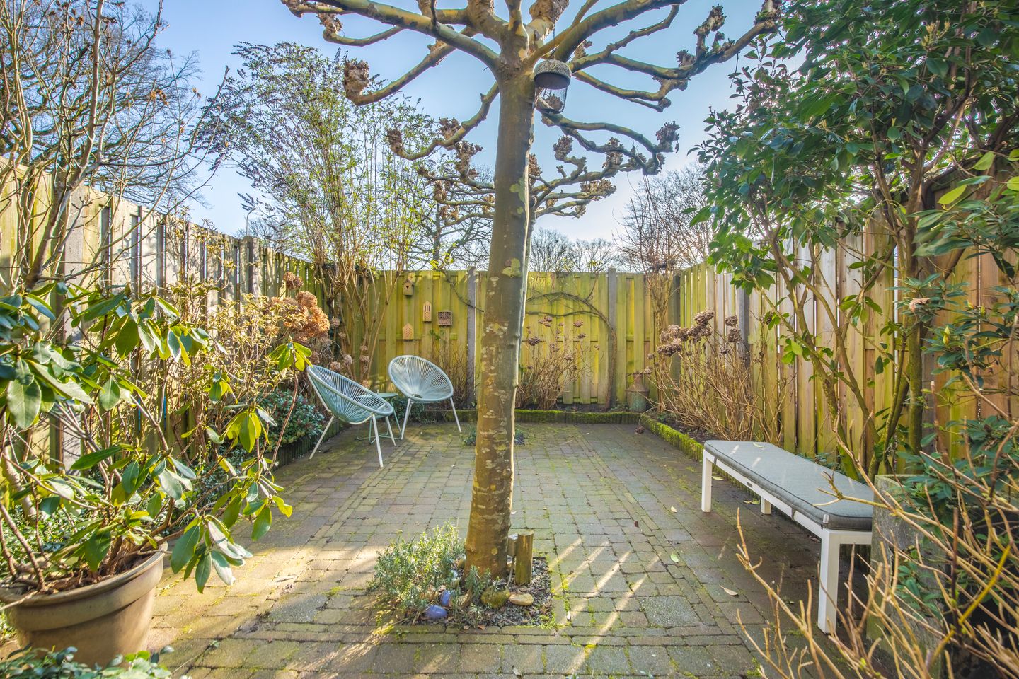 Foto 10 van Rossinistraat 6