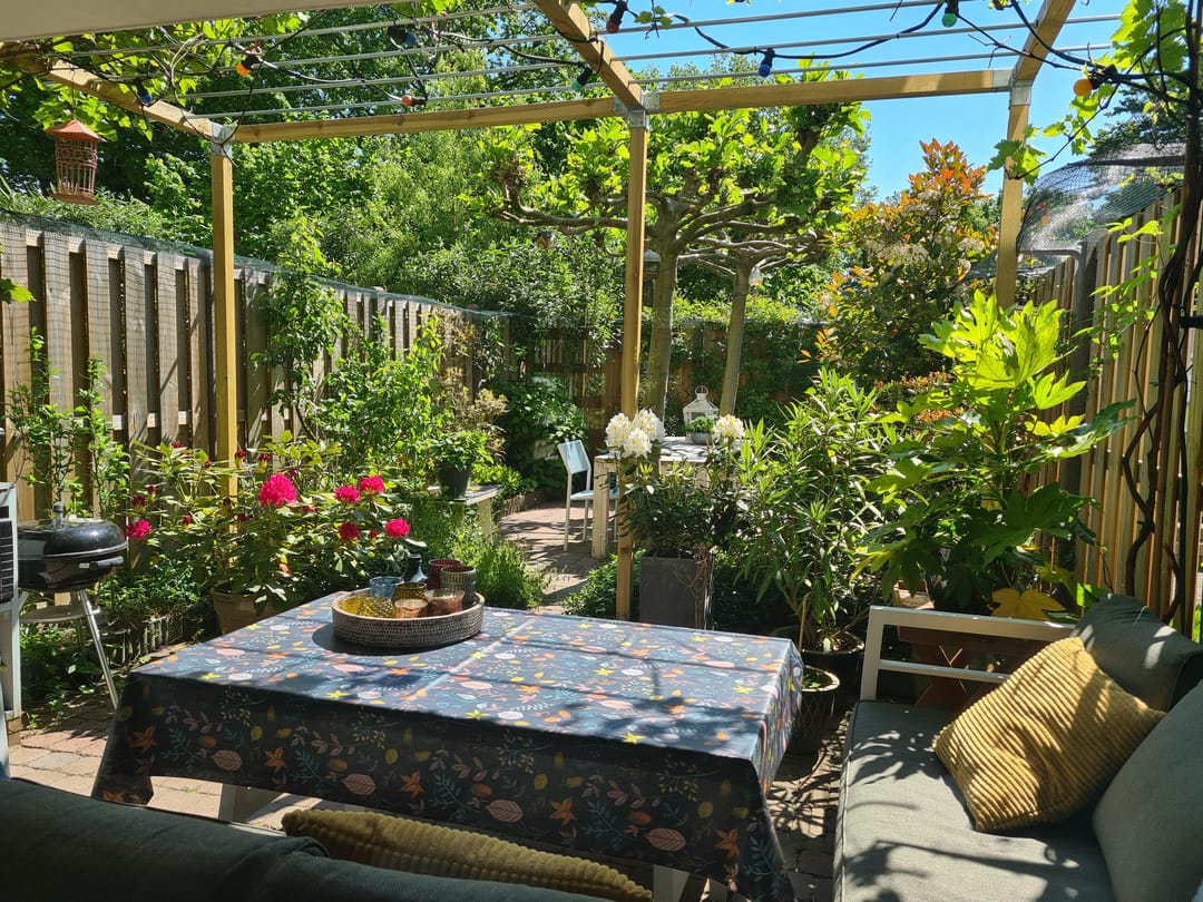 Foto 11 van Rossinistraat 6