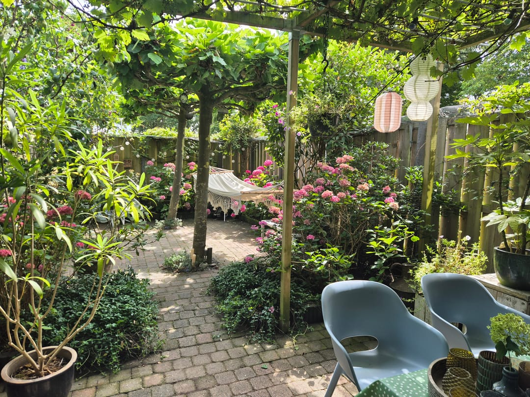 Foto 13 van Rossinistraat 6