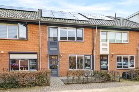 De Dries 39 tertiary image