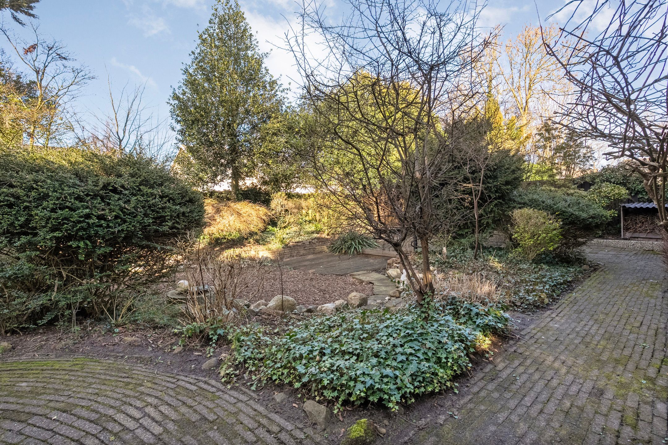 Foto 57 van Vriesenhof 15