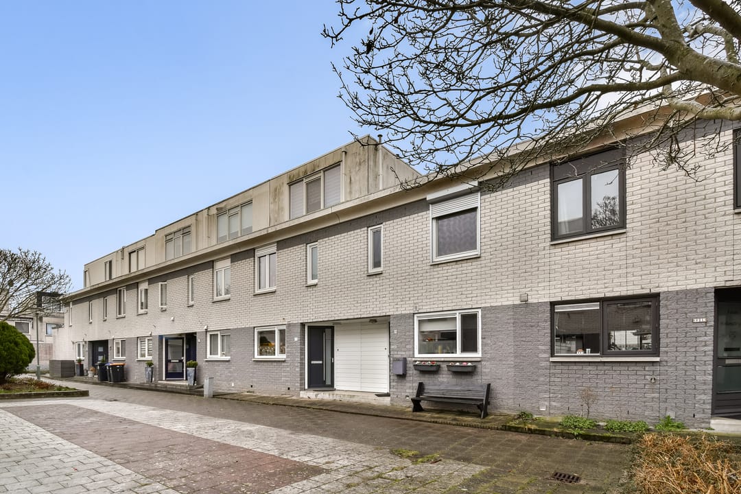 Foto 17 van Palissander 22