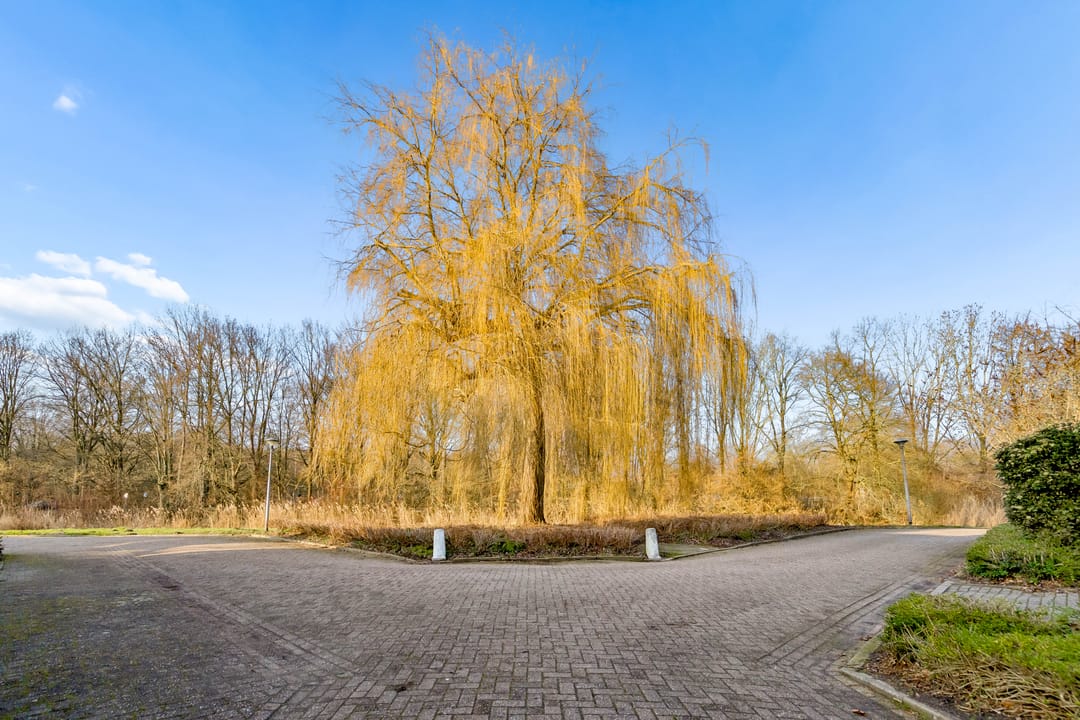 Foto 71 van Muidergouw 57