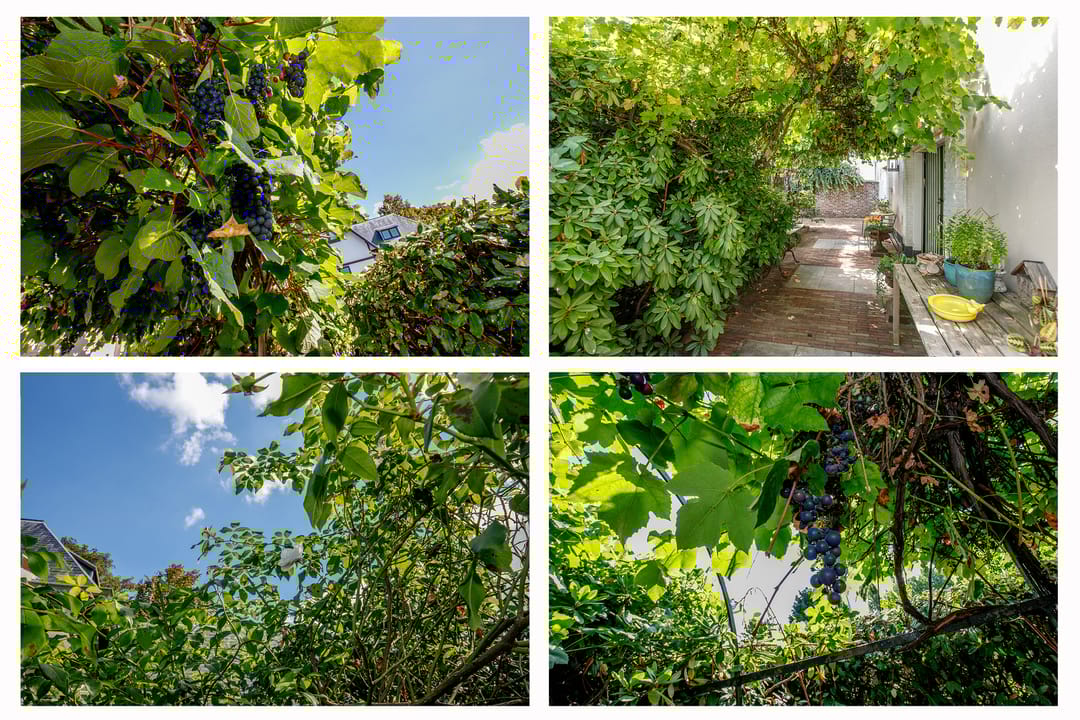 Foto 56 van Voorburgseweg 48