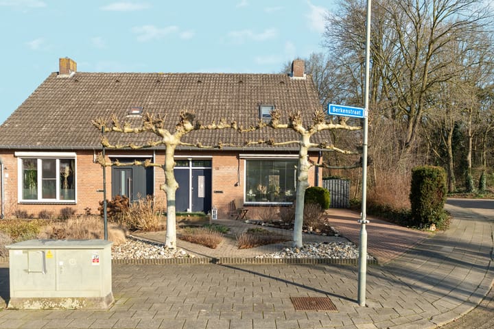 Foto 5 van Berkenstraat 23