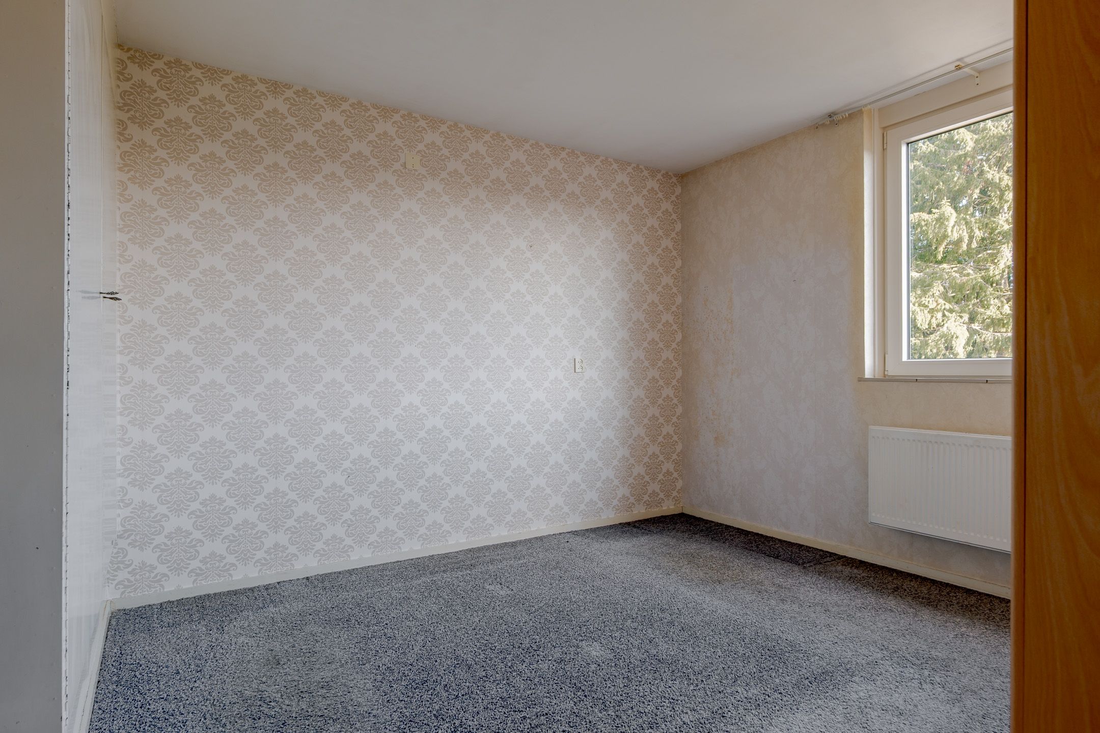 Photo 33 of Lieving 17-A