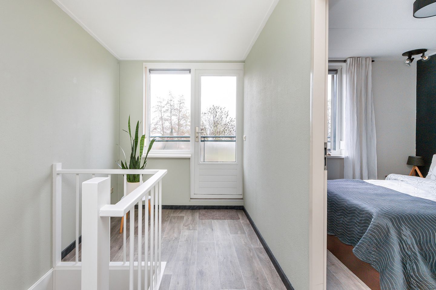 Photo 25 of Meranti 120