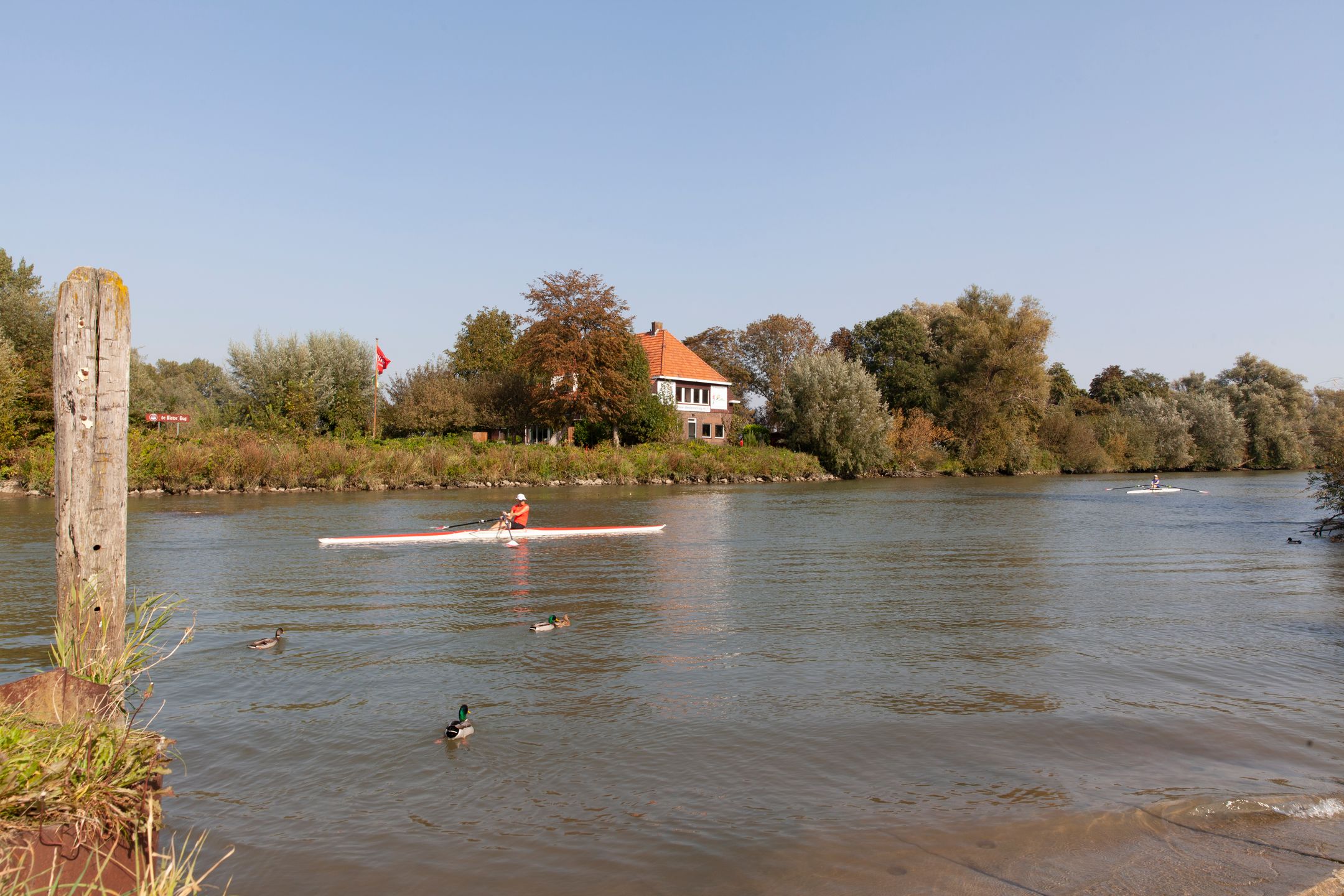 Photo 39 of Meranti 120