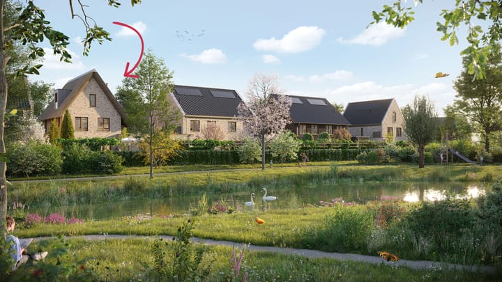 Photo 3 of Boerenerf 11