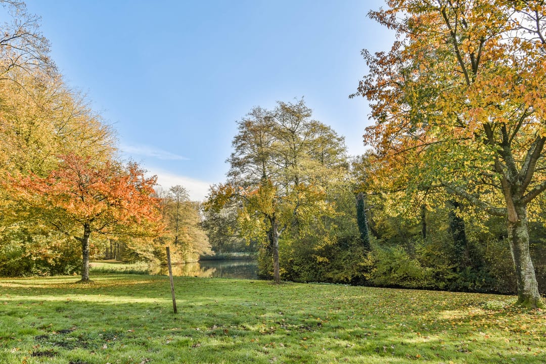 Foto 23 van Het Hoogt 454