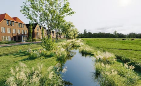 Nautawerf 48 tertiary image