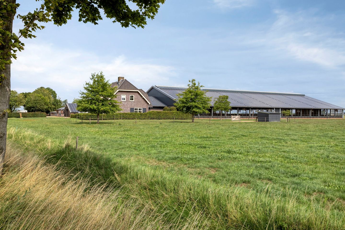 View photo 3 of Broeksestraat 82