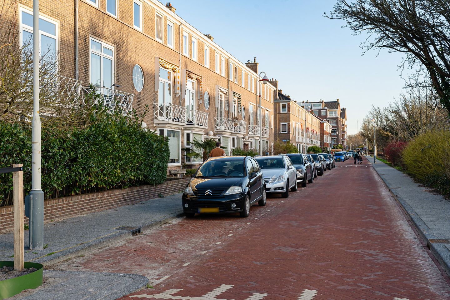 Foto 50 van Lobelialaan 43