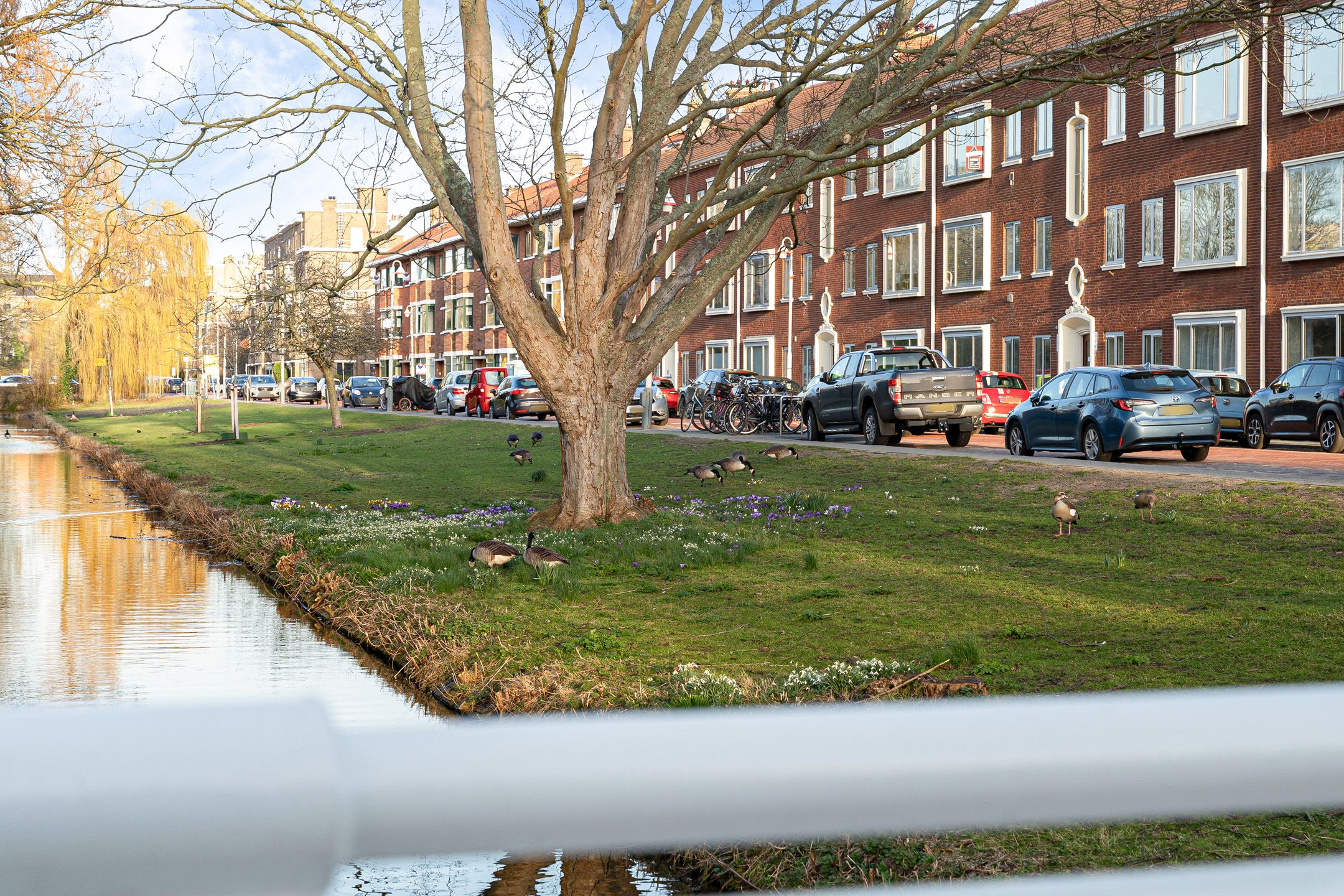 Foto 51 van Lobelialaan 43