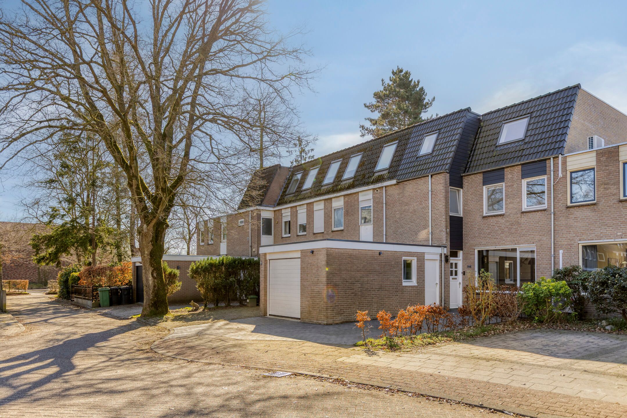 Photo 6 of Johan Frisopark 27