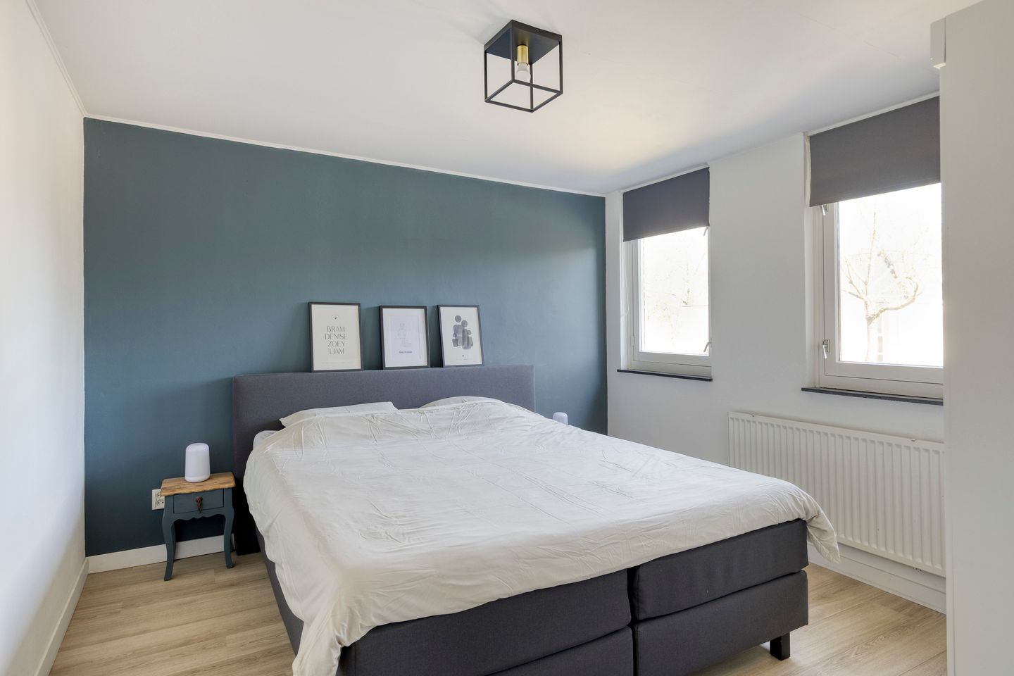 Photo 29 of Johan Frisopark 27