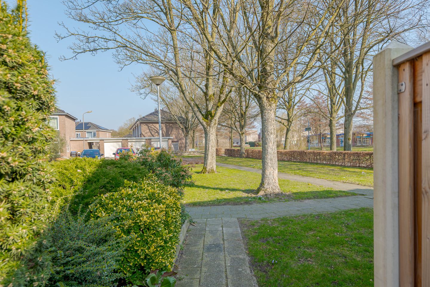 Photo 40 of Heinsiusstraat 26