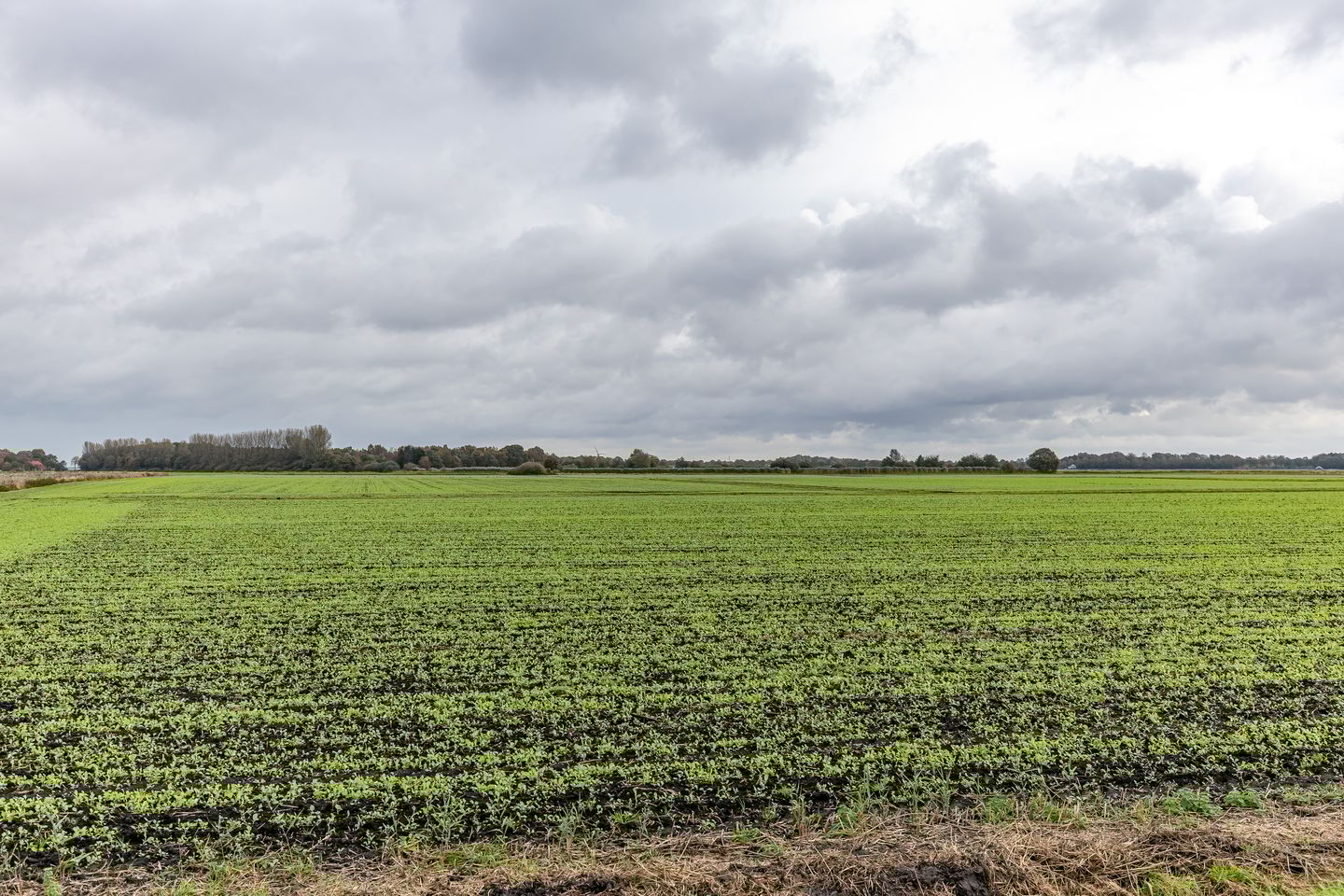 Photo 4 of Engelberterweg 112