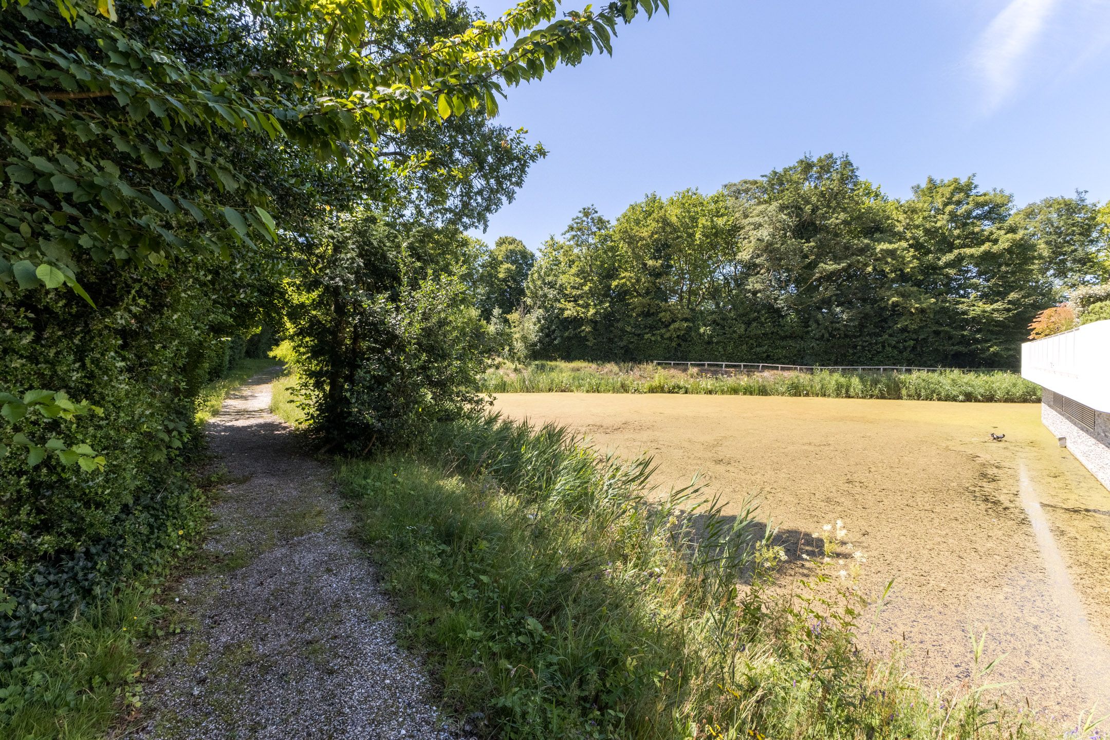 Foto 42 van Natteweg 8