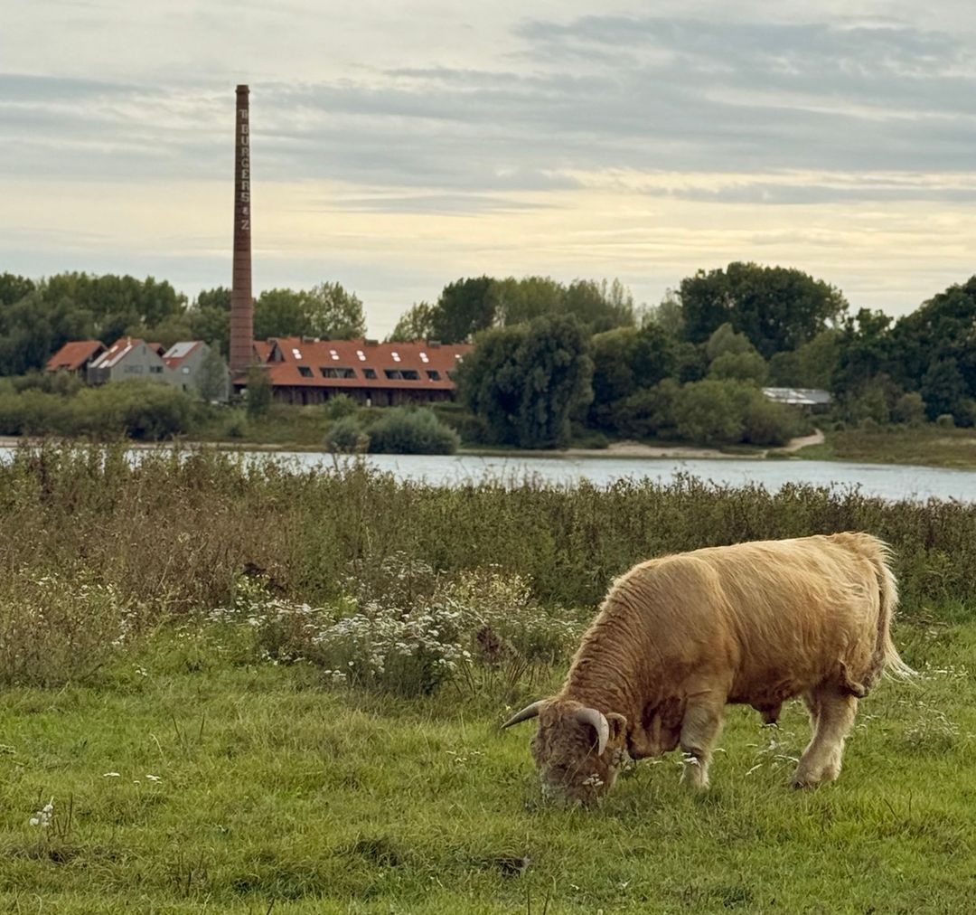 Foto 53 van Waaldijk 42-43