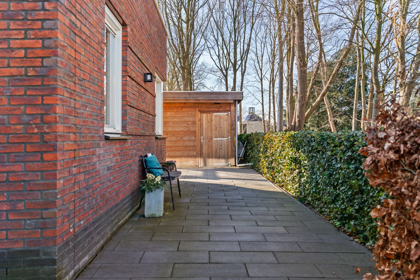 Photo 35 of Donderwolk 21