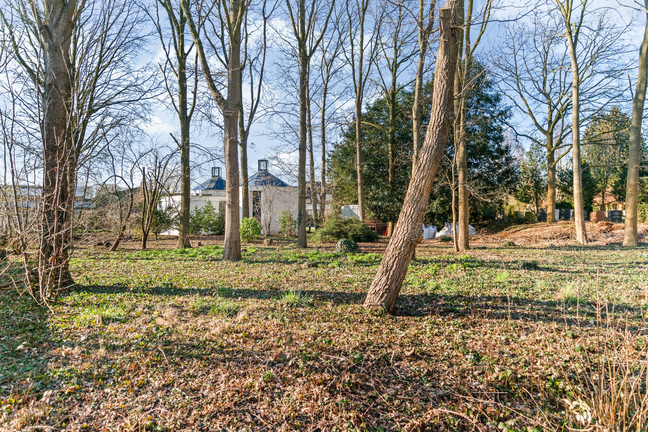 Photo 36 of Donderwolk 21