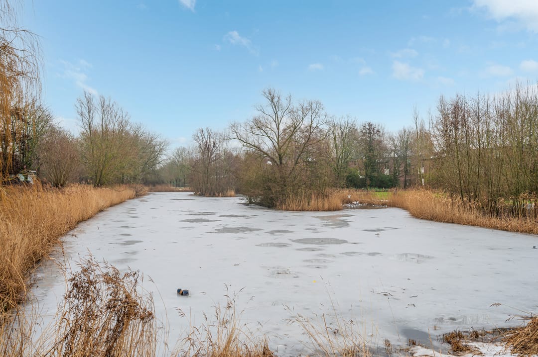 Foto 32 van Amkemaheerd 292