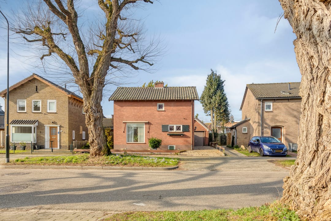 Foto 28 van Adelaarslaan 46