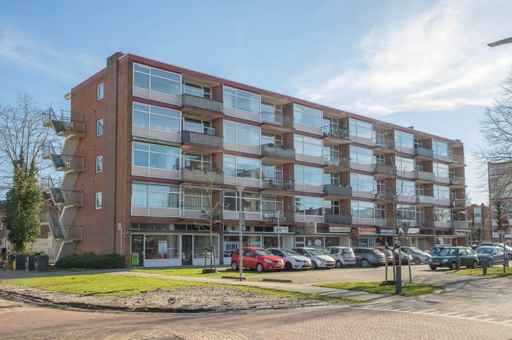 Mr. P.J. Troelstralaan 223 main image