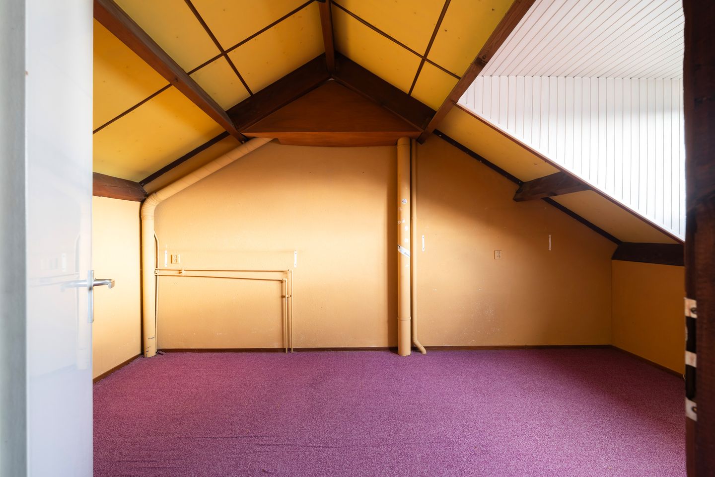 Foto 35 van Robijn 2