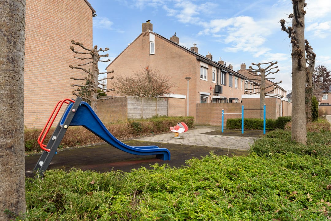 Foto 47 van Robijn 2