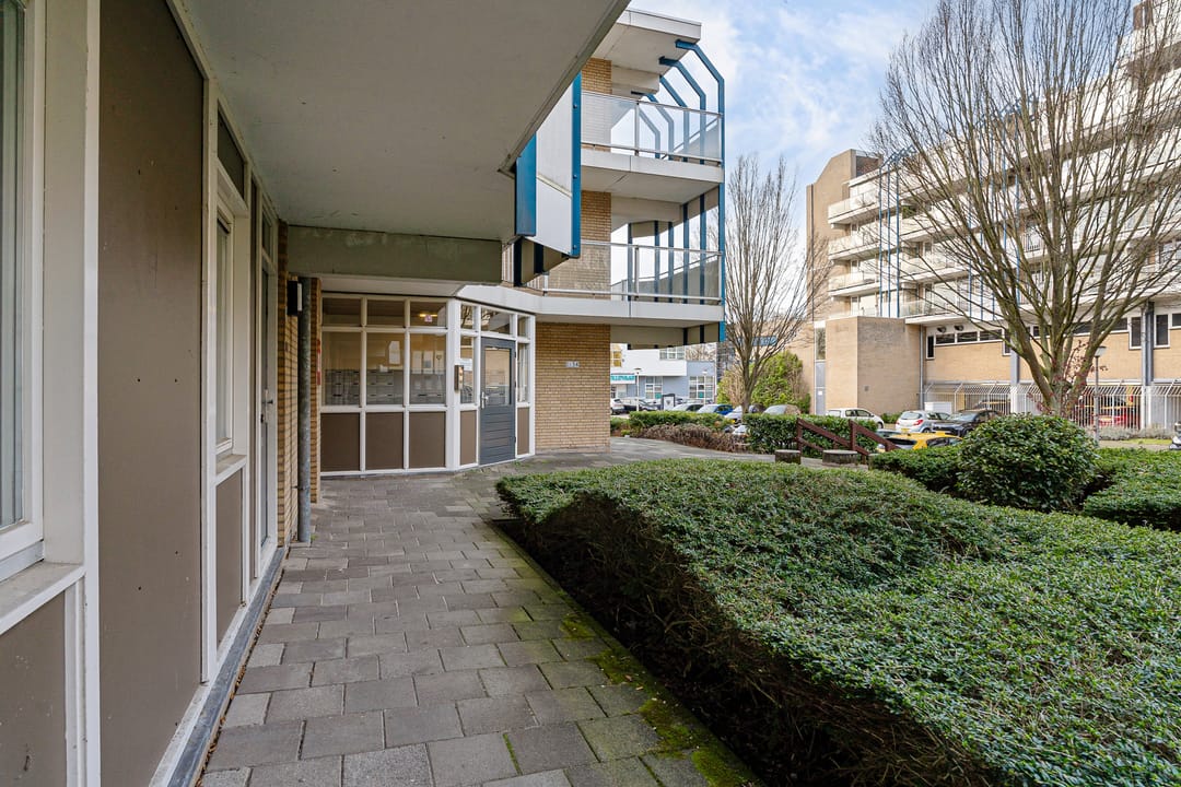 Foto 8 van Zadkinerade 22