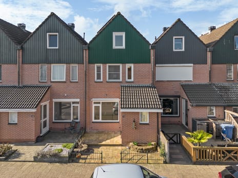 undefined main image